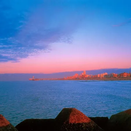 海滩酒店席凡宁根 海牙