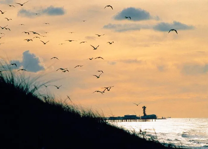 Strandhotel Scheveningen Отель